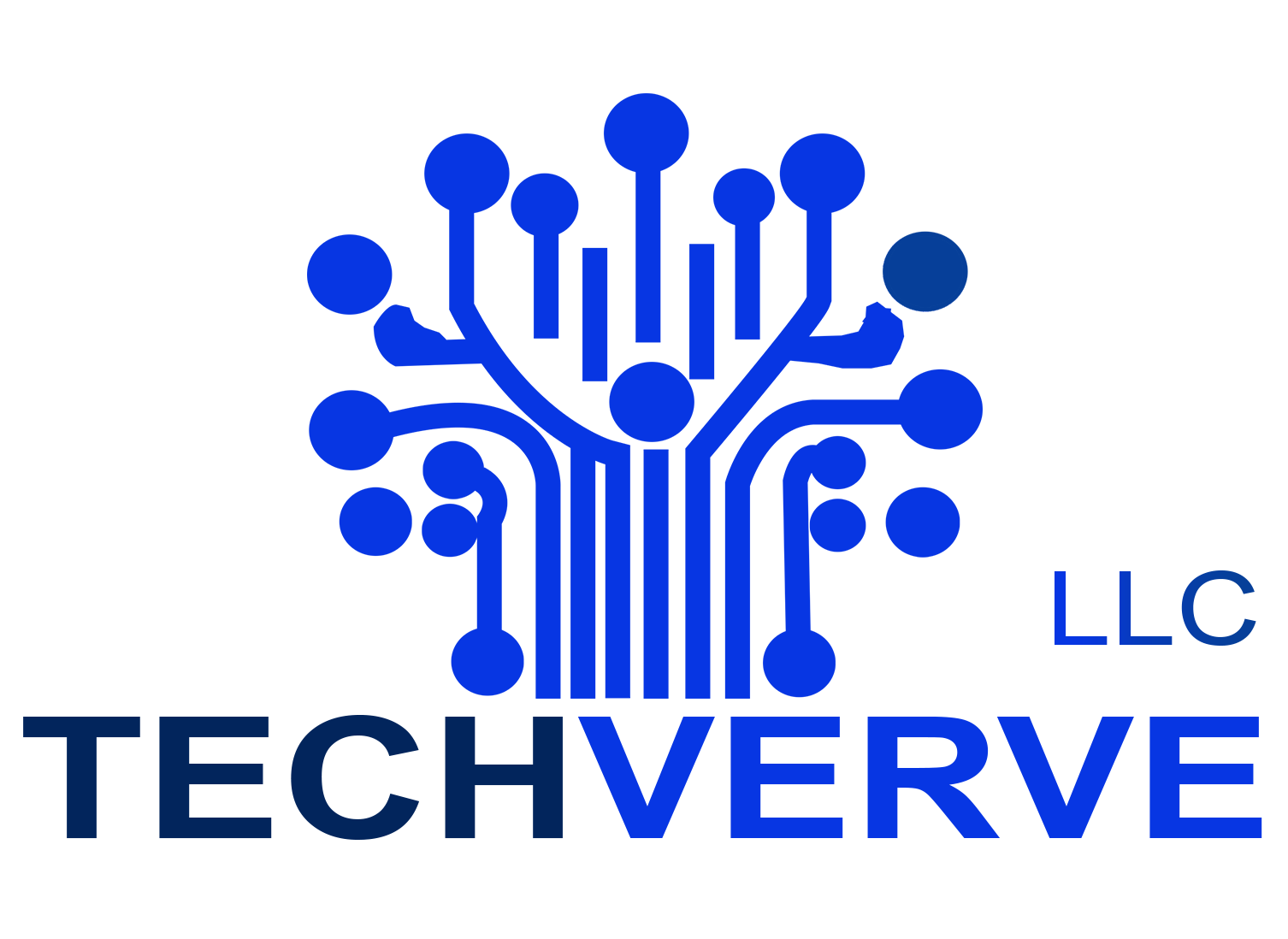 TECHVERVE LLC